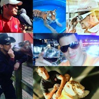 a collage of pictures of a man and a tiger